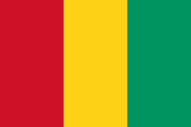 几内亚CTN认证