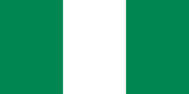 尼日利亚CTN